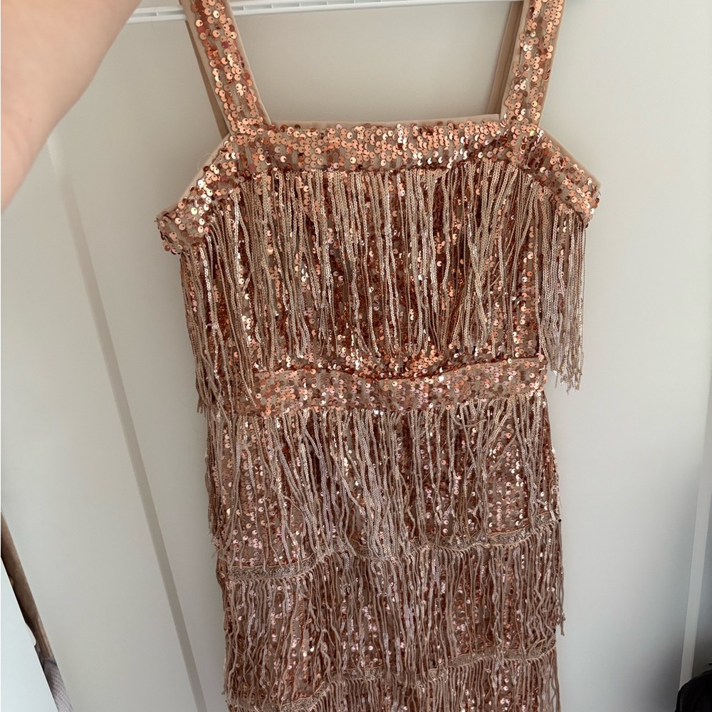 Sequin Fringe Dress